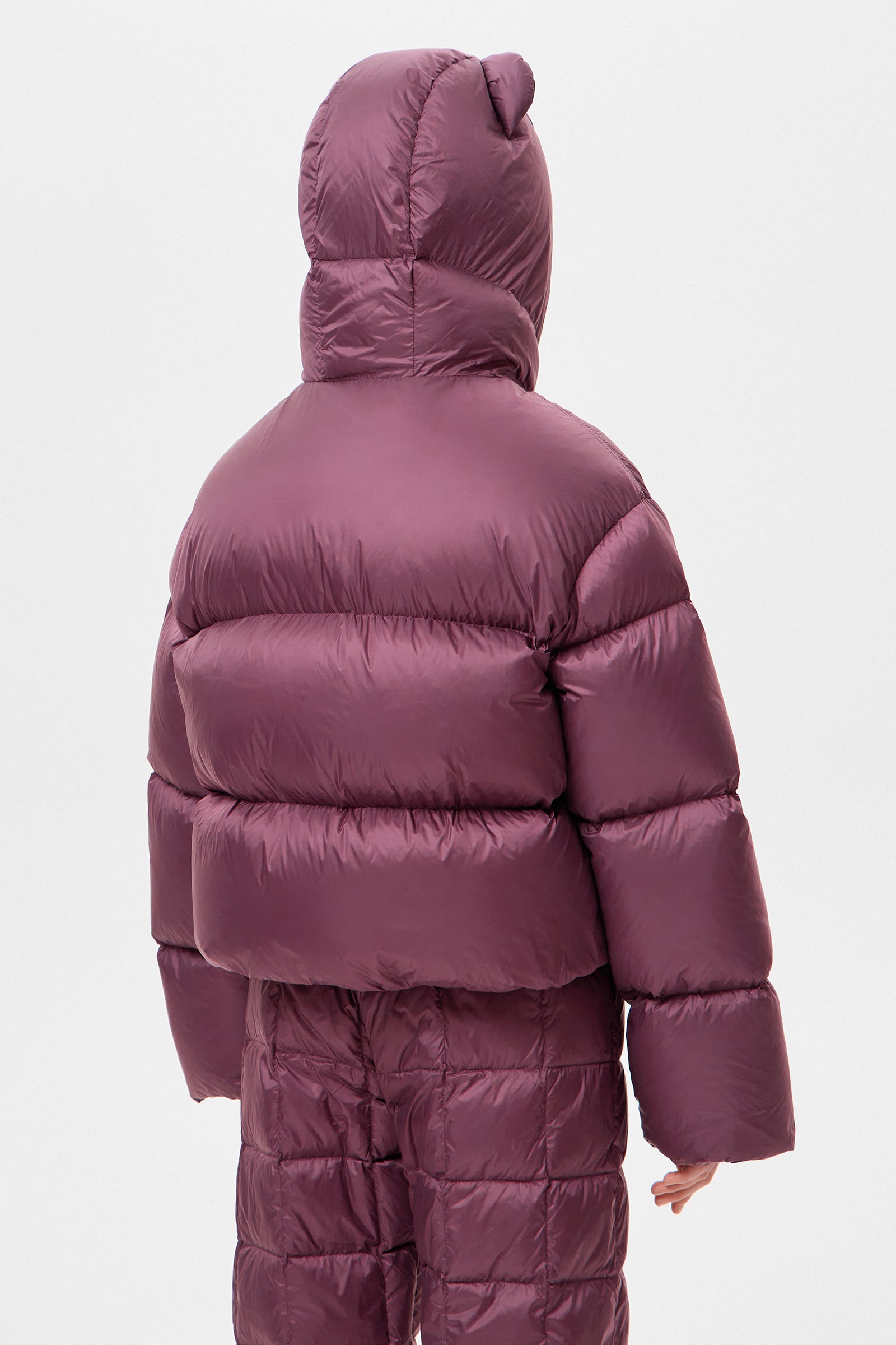 BEAR KENNY LEON GRAPE