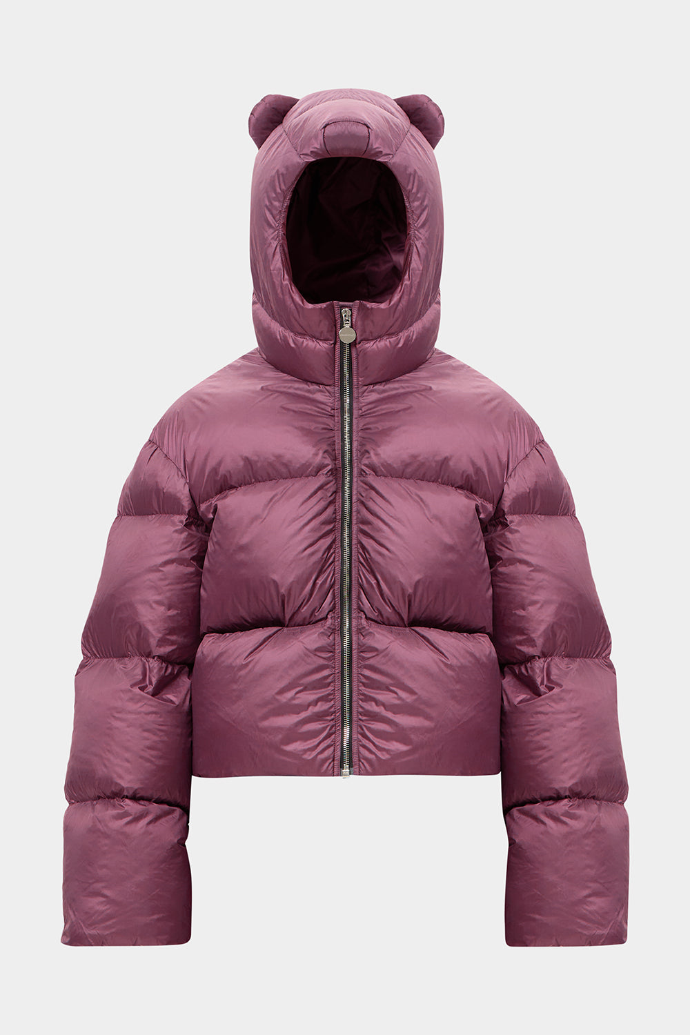 BEAR KENNY LEON GRAPE